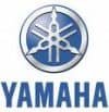 K&N Yamaha Intakes