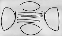 1955-57 Deluxe 2 Door Station Wagon W/O Vent Window Authentic Window Felts Whiskers Kit (12pcs)