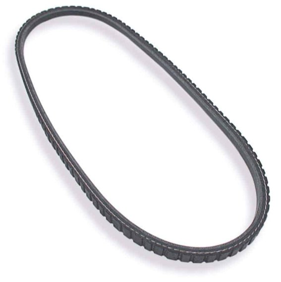 Allstar ALL86120 31.5" Length V-Belt