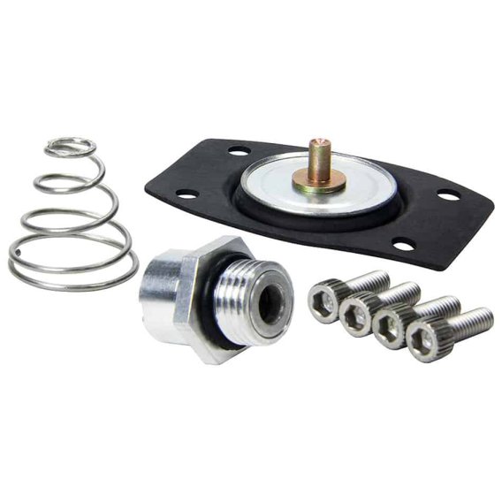 ALLSTAR PERFORMANCE Rebuild Kit for ALL40290