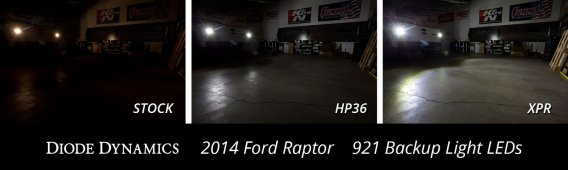 Backup LEDs for 2010-2014 Ford SVT Raptor (pr) XPR (720 Lumens) Diode Dynamics