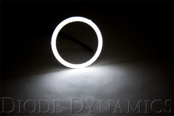 Halo Lights LED 100mm White pr Diode Dynamics DD2075