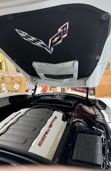 2014-2019 C7 Corvette Painted Heat Extractor