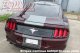 2018-2019 Mustang Center Full Length Stripe Package