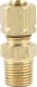 Allstar Performance ALL48032 Fitting, 1/8" NPT, Straight