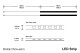 FlexLight LED Strip Amber Diode Dynamics DD0196